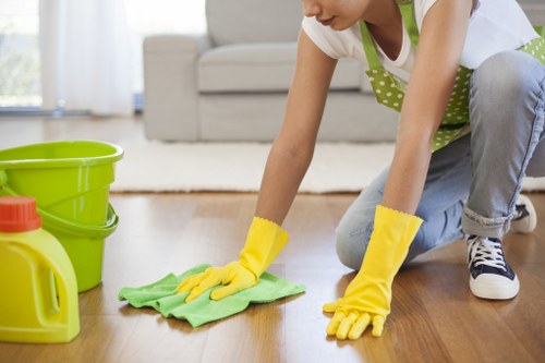 Deep cleaning equipment used for pet stain odour removal in Coombe