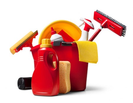 Transparent carpet cleaners quotes with clear pricing details
